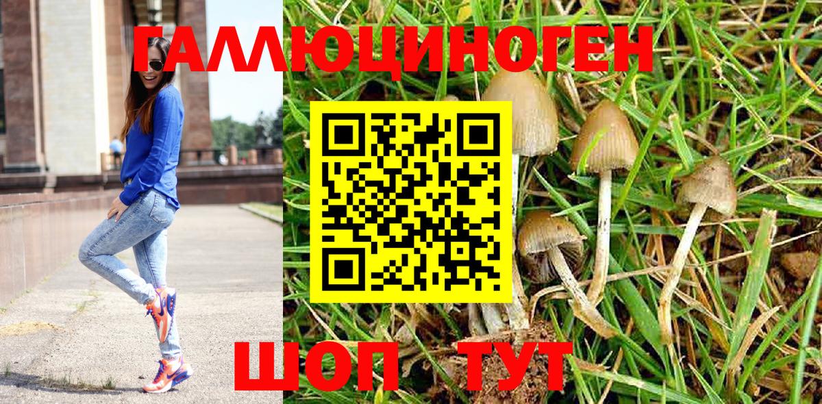 Псилоцибиновые грибы прущие грибы  цены наркотик  Губкин  Вход с VPN 