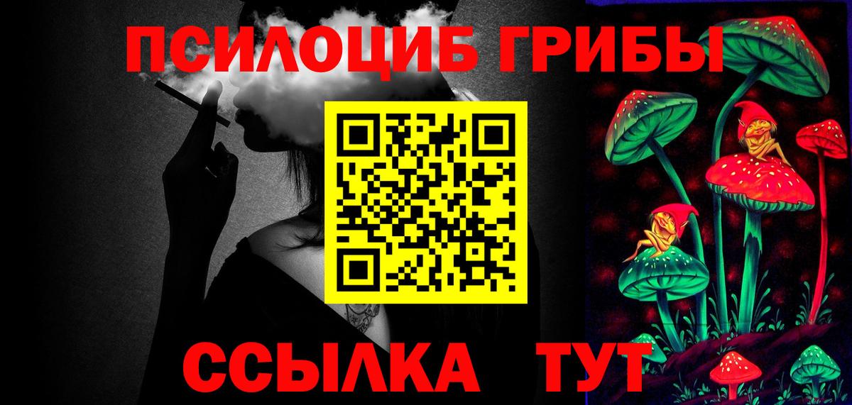 Псилоцибиновые грибы прущие грибы Губкин
