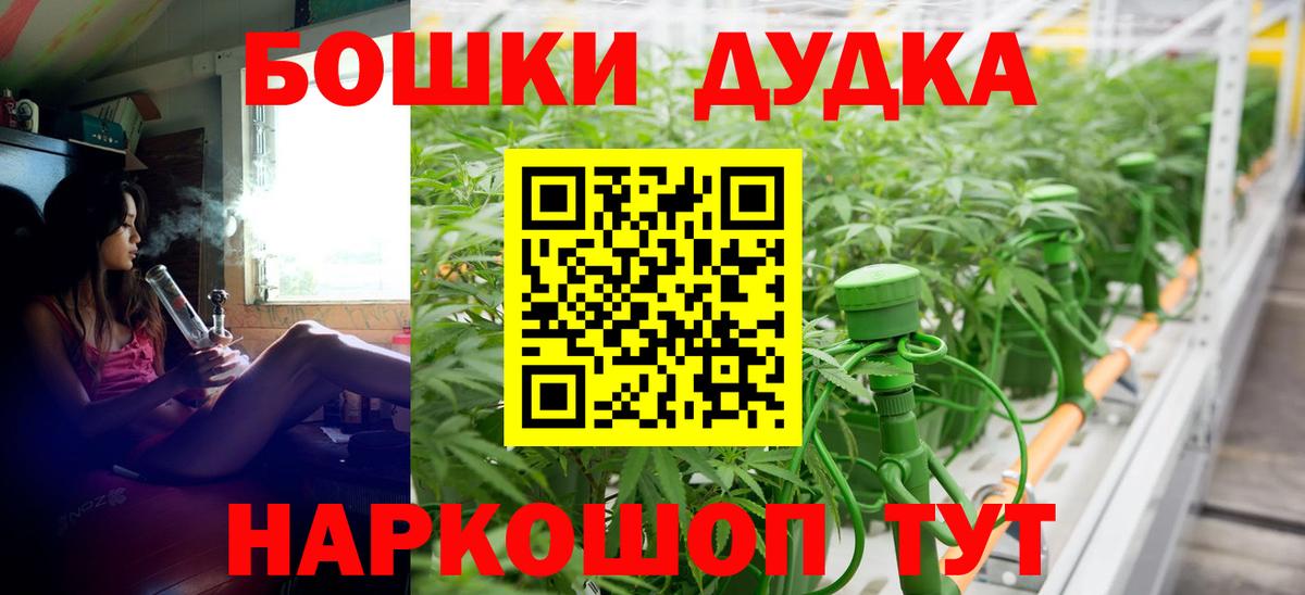 Губкин  Бошки Шишки MAZAR  Каннабис сатива  Вход с VPN 