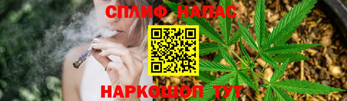 Шишки марихуана MAZAR Губкин